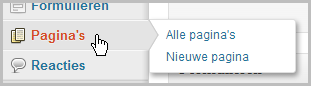 wordpress structuur 01